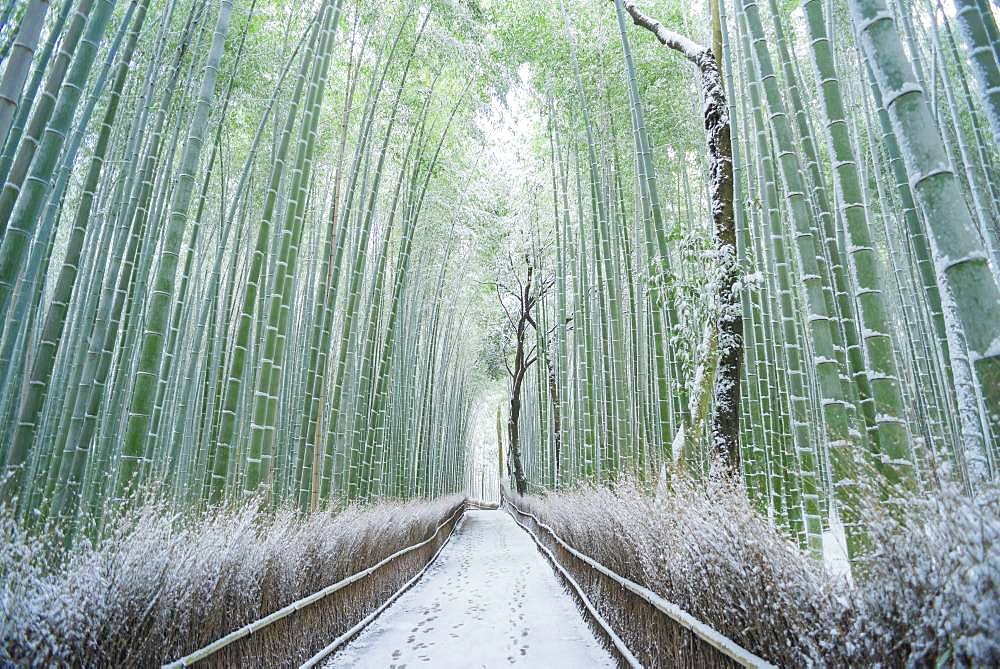 Kyoto, Japan