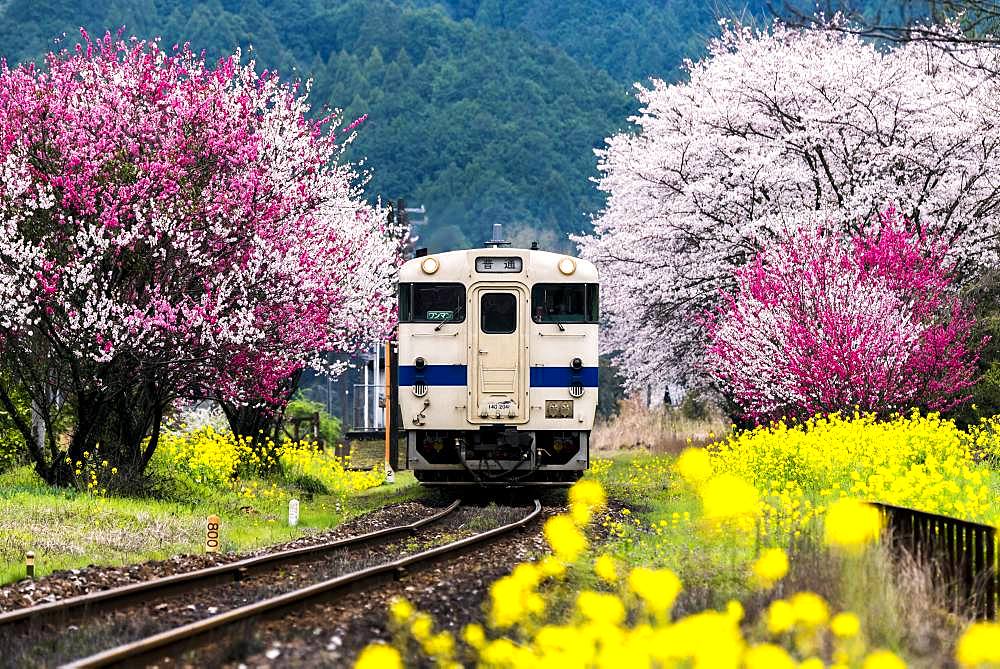 Fukuoka Prefecture, Japan