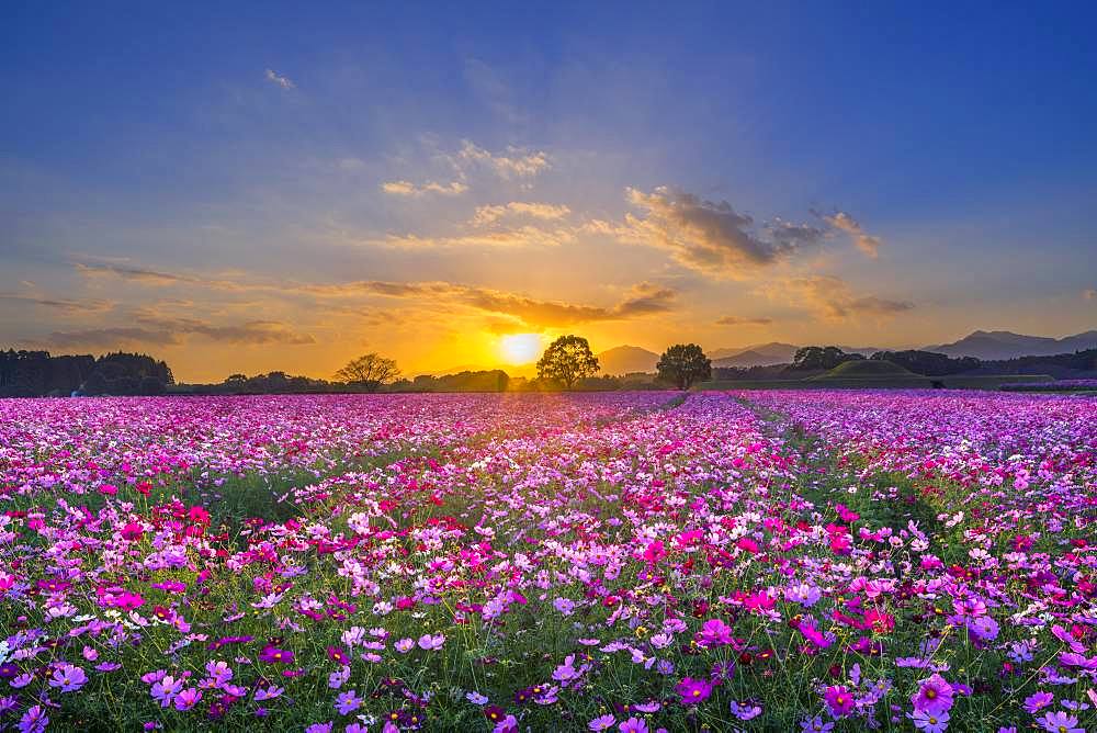 Miyazaki Prefecture, Japan