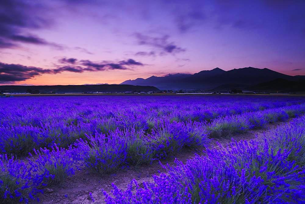 Hokkaido, Japan