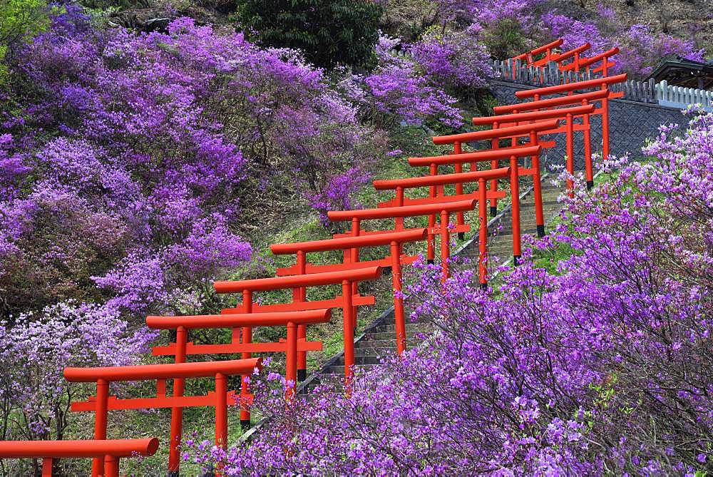 Kyoto, Japan