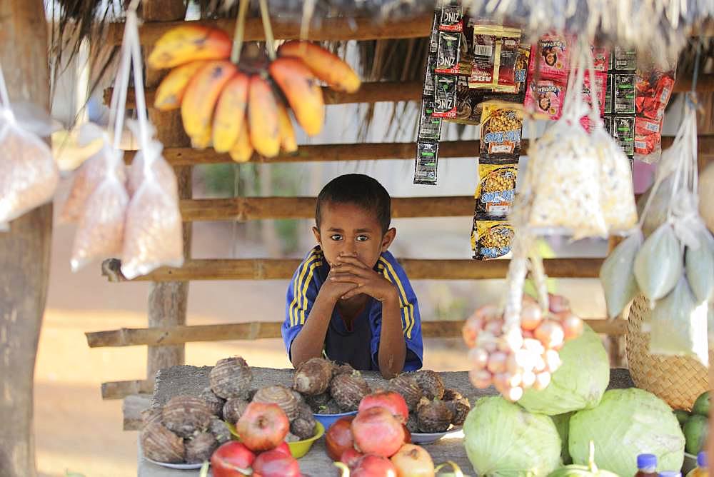 Timor, Indonesia