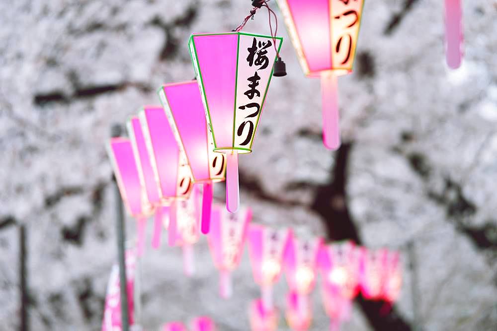 Cherry blossoms festival at Sumida Park, Tokyo, Japan