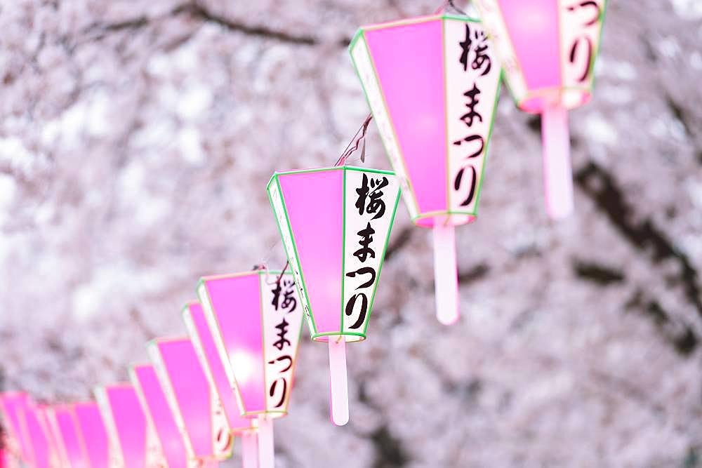 Cherry blossoms festival at Sumida Park, Tokyo, Japan