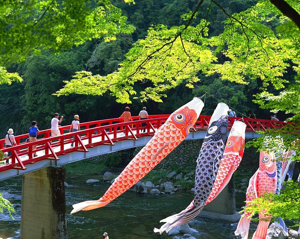 Koran Valley, Aichi, Japan