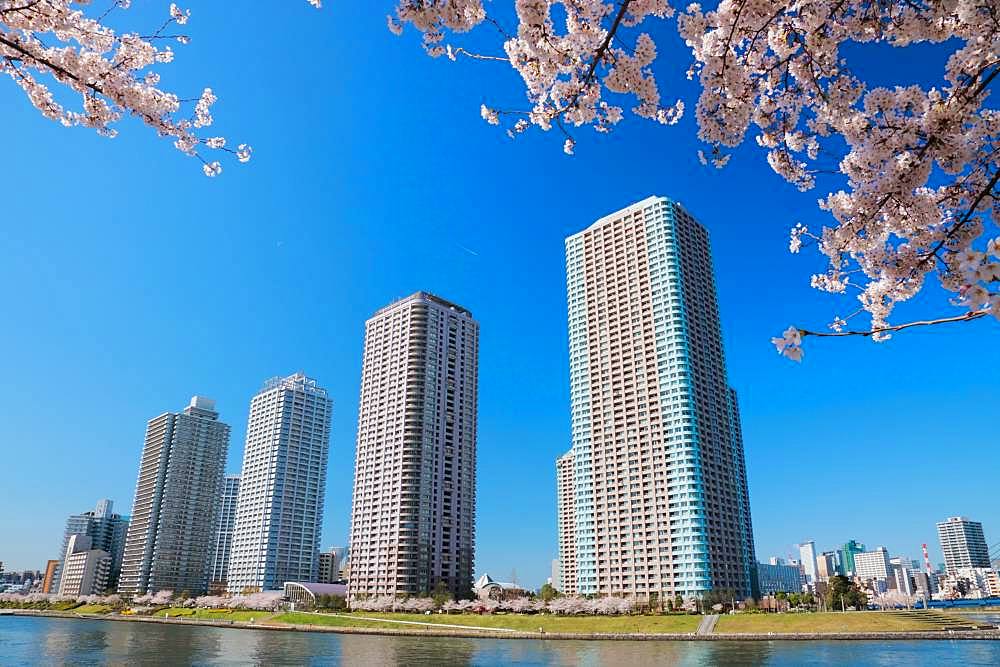 Sumida River, Tokyo, Japan