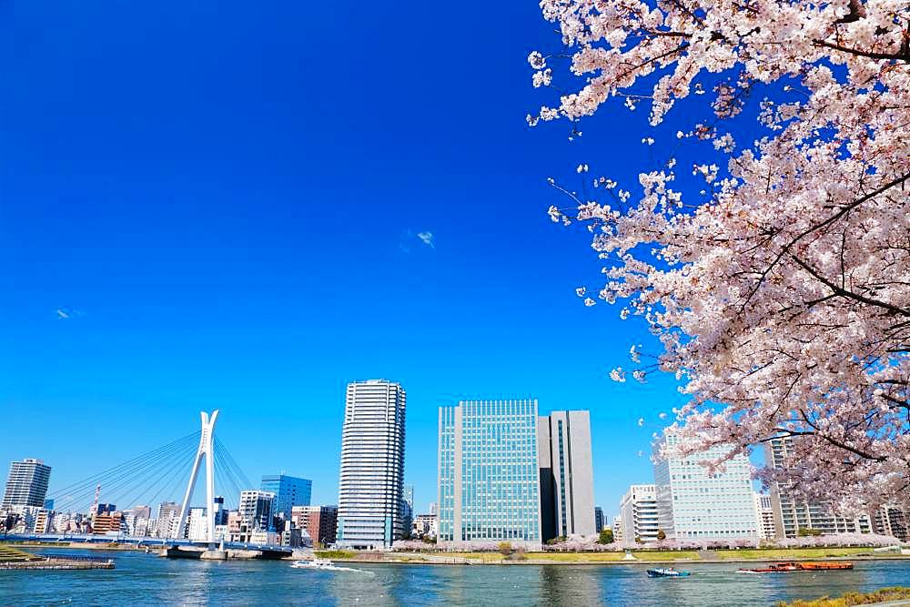 Sumida River, Tokyo, Japan