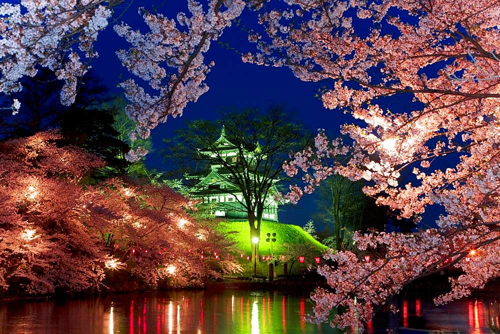 Takada Park, Niigata, Japan