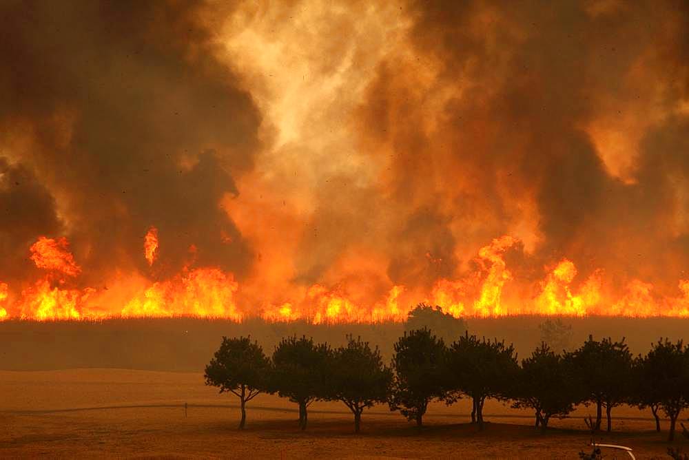 Watarase Controlled Burn, Tochigi, Japan