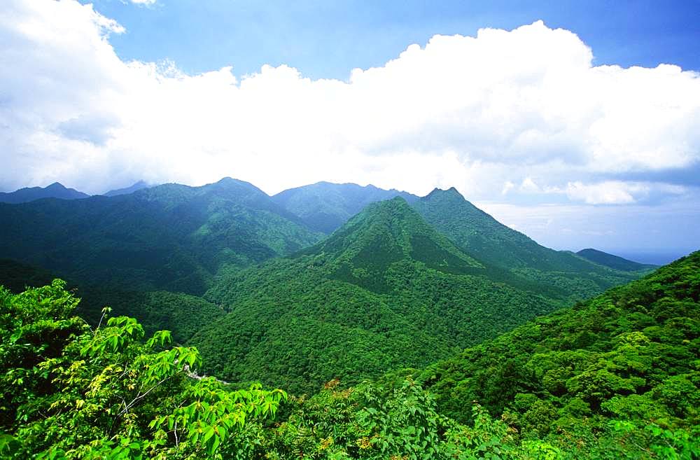 Yakushima Miyanoura Peak, Yakushima, Kagoshima Prefecture