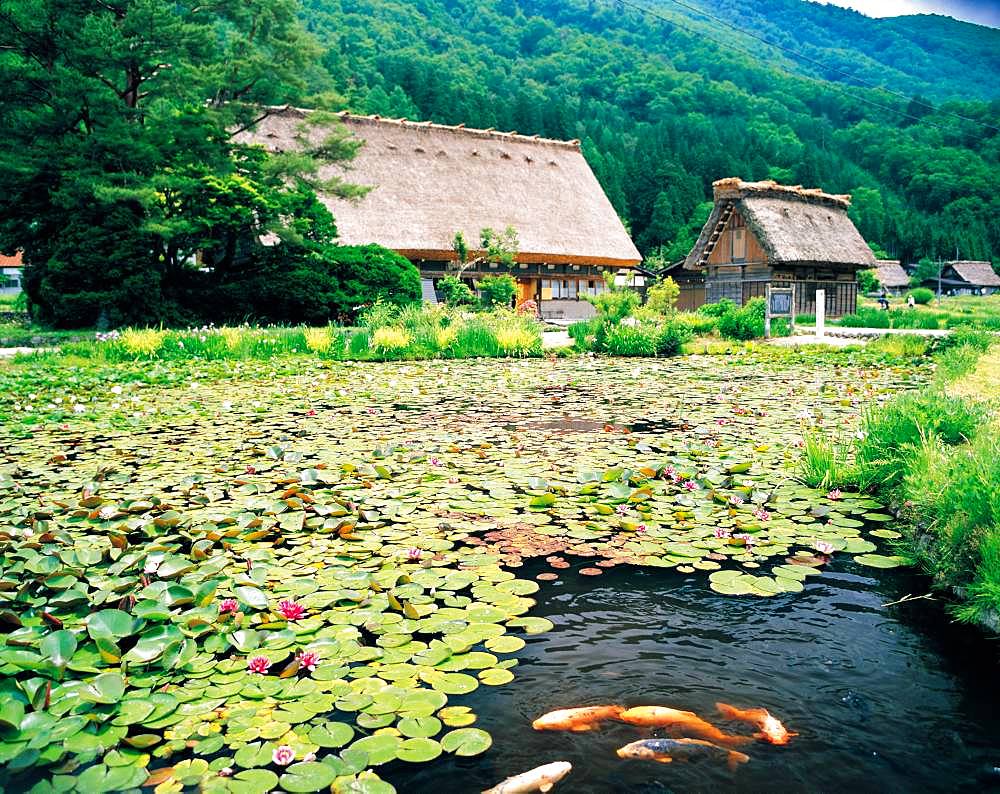 Shirakawa-go, Gifu Prefecture, Japan