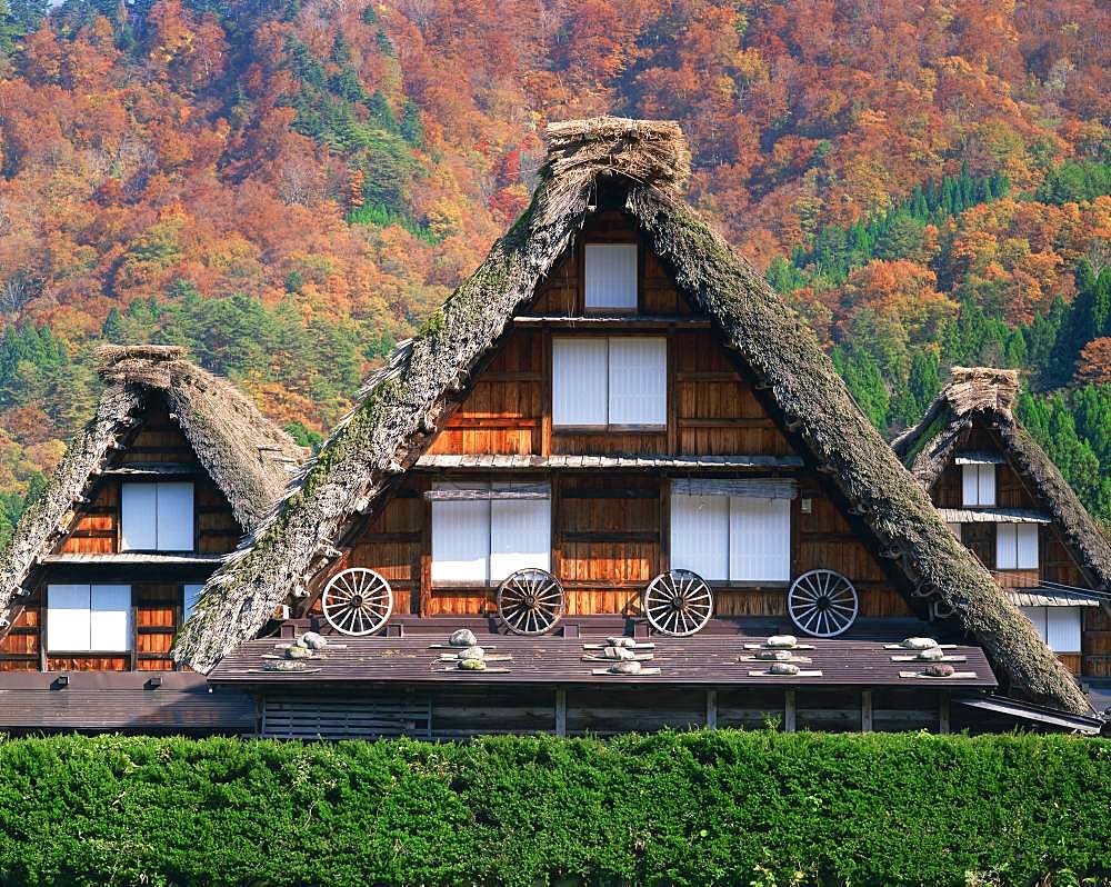 Shirakawa-go, Gifu Prefecture, Japan