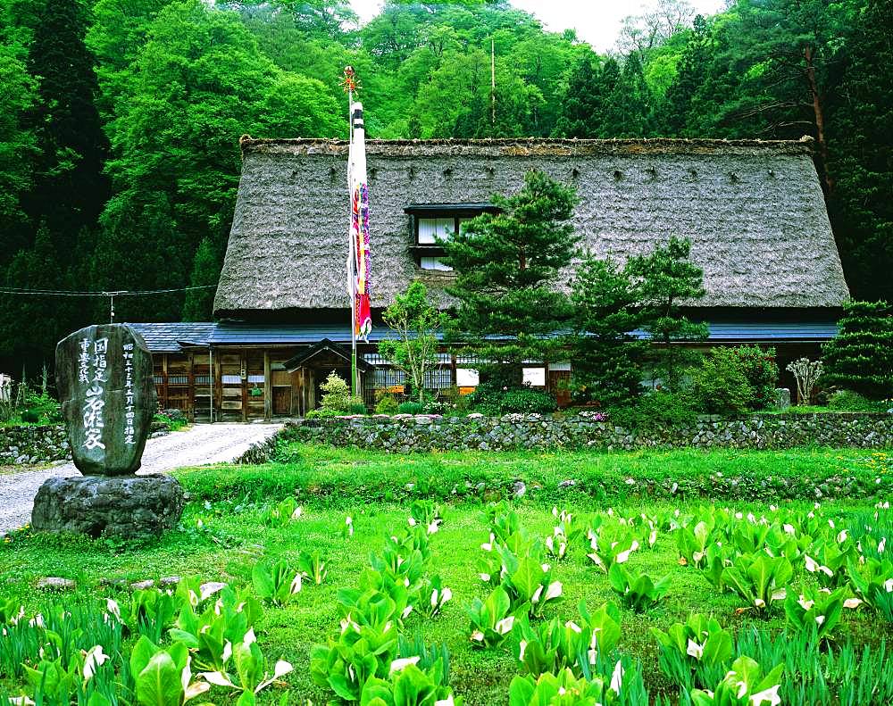 Iwase-ke, Gokayama Village, Toyama Prefecture, Japan