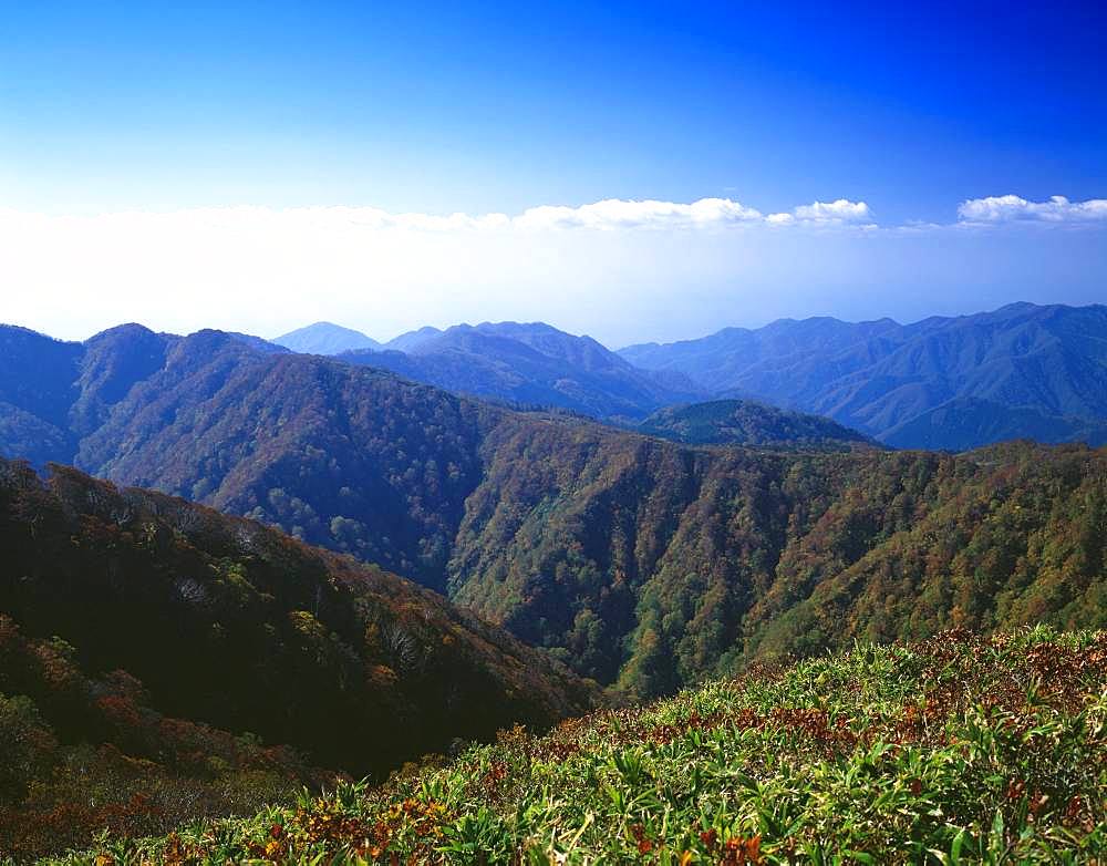 Shirakami-Sanchi, Akita, Japan