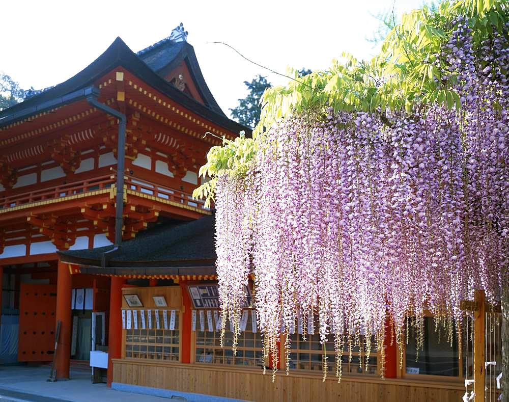 Kasuga-Taisha, Nara, Japan