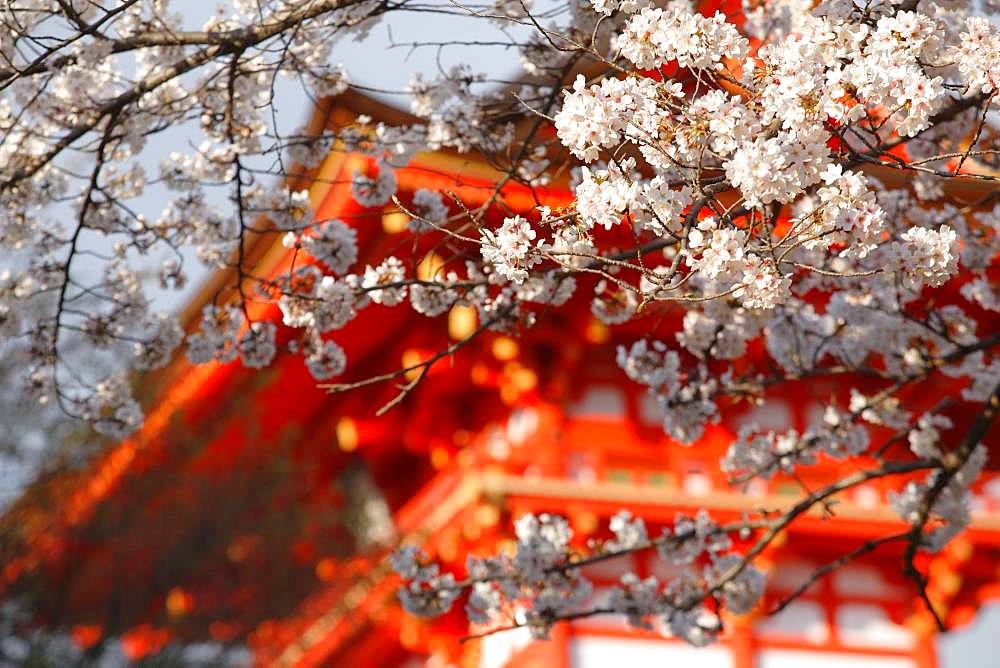 Kiyomizu Temple, Kyoto, Japan