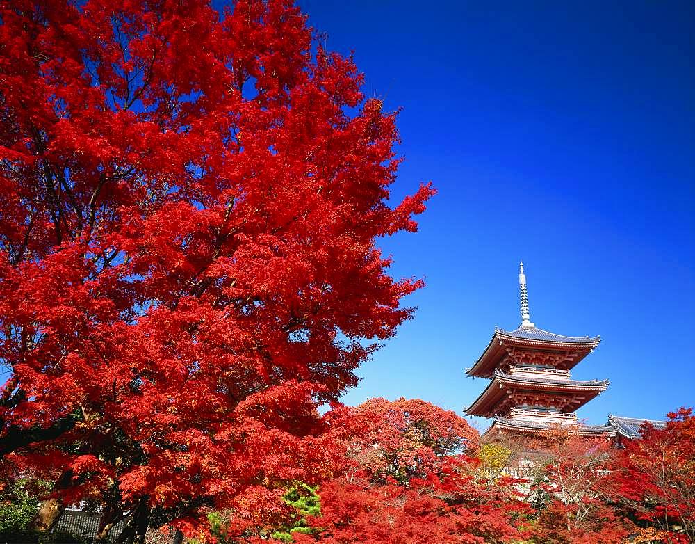 Kiyomizu Temple, Kyoto, Japan