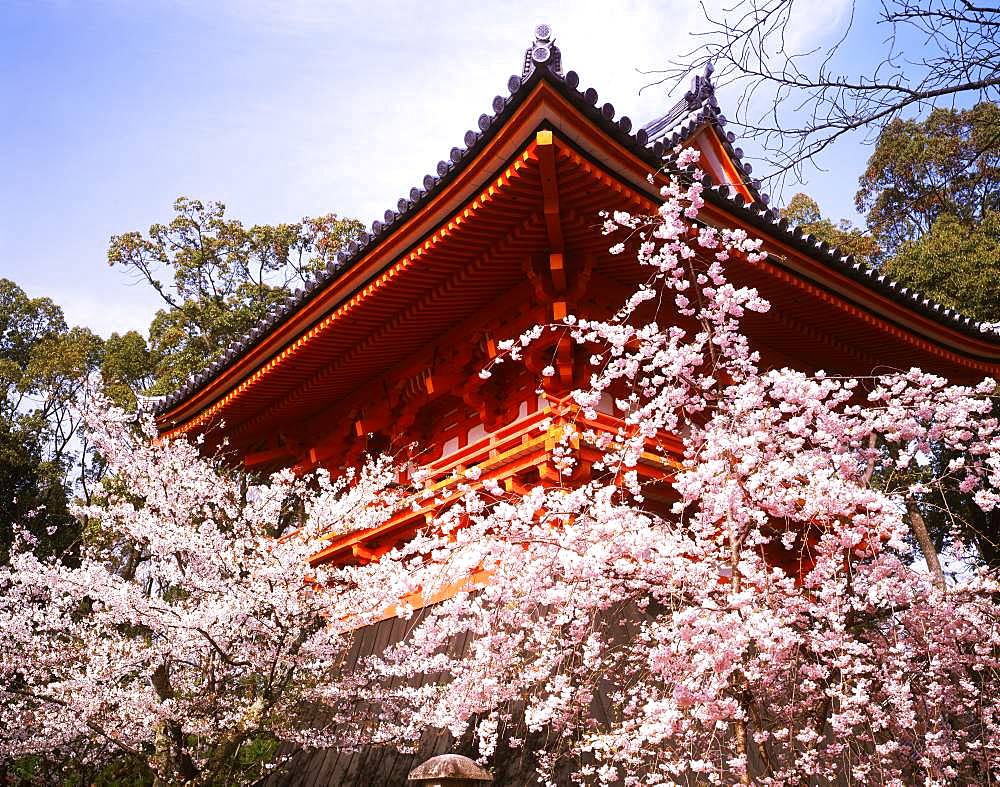 Ninnaji Temple, Belfry, Kyoto, Japan