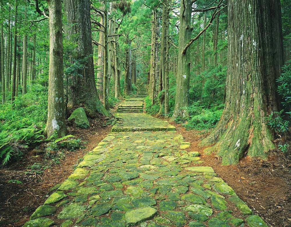 Kumanokodo, Wakayama, Japan