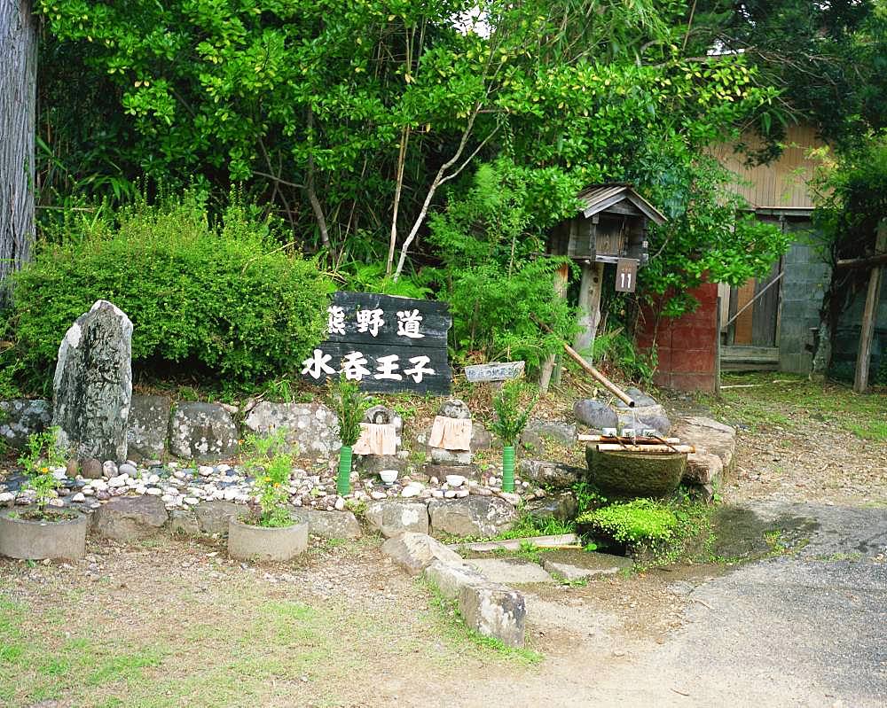 Mizunomi Ohji, Kumanokodo, Wakayama, Japan