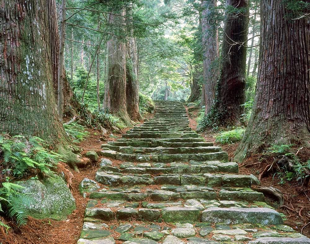 Daimonzaka, Kumanokodo, Wakayama, Japan