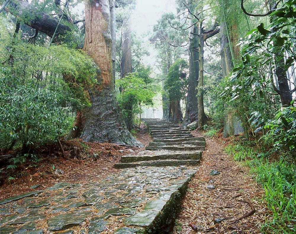 Daimonzaka, Kumanokodo, Wakayama, Japan