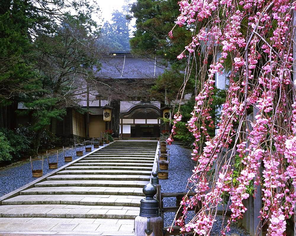 Koyasan, Wakayama, Japan