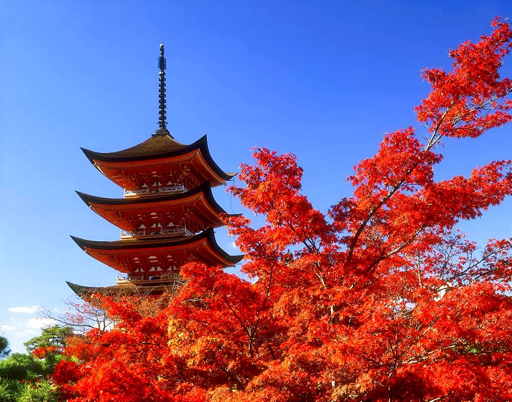 Five-story Pagoda in Itsukushima-jinja, Hiroshima Prefecture, Japan