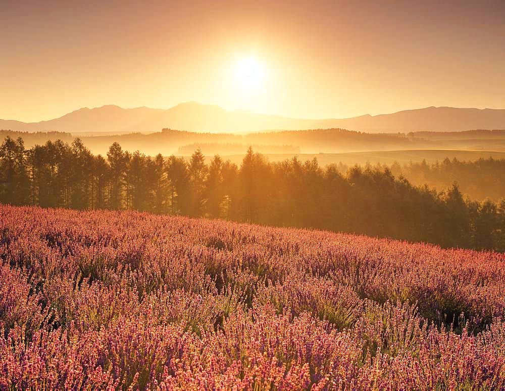 Biei Town, Hokkaido