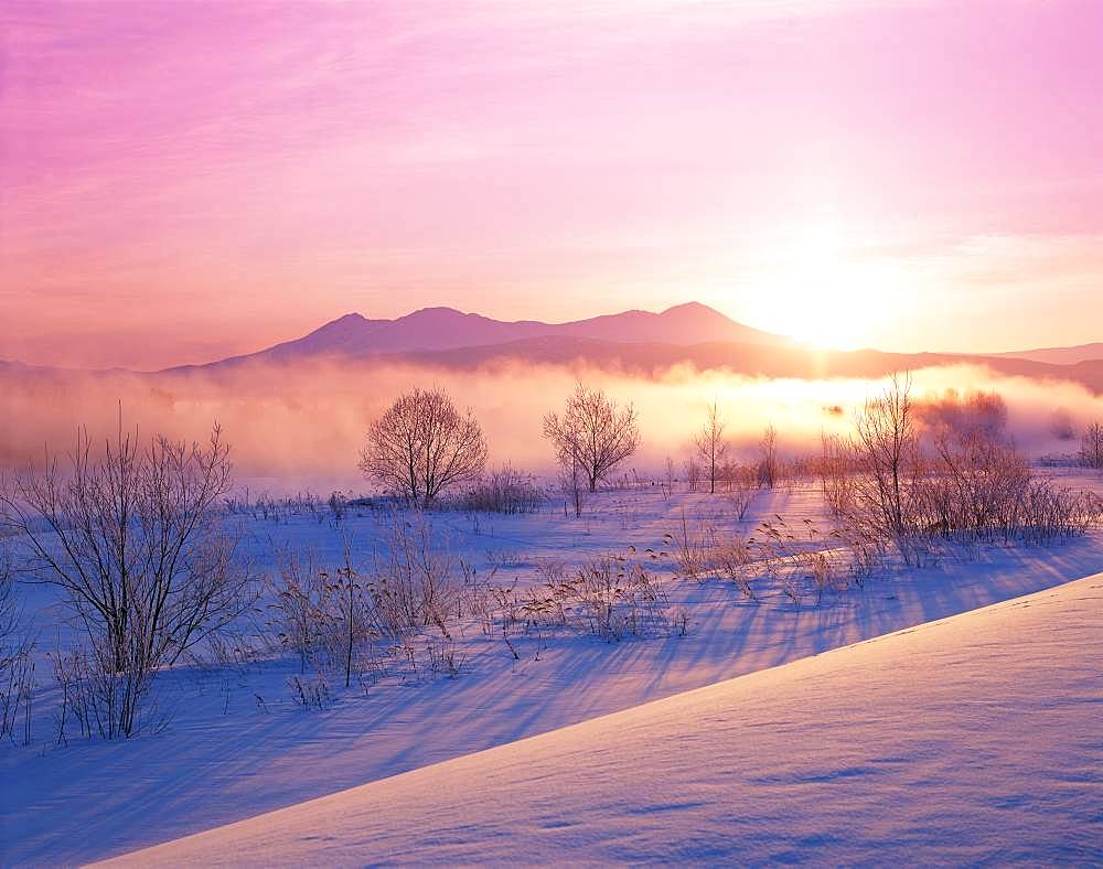 Mt. Asahidake, Hokkaido