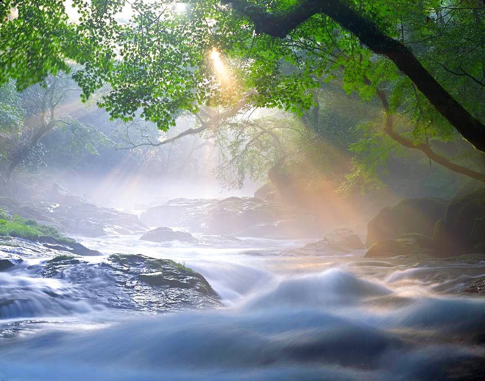 Kikuchi Ravine, Kumamoto Prefecture