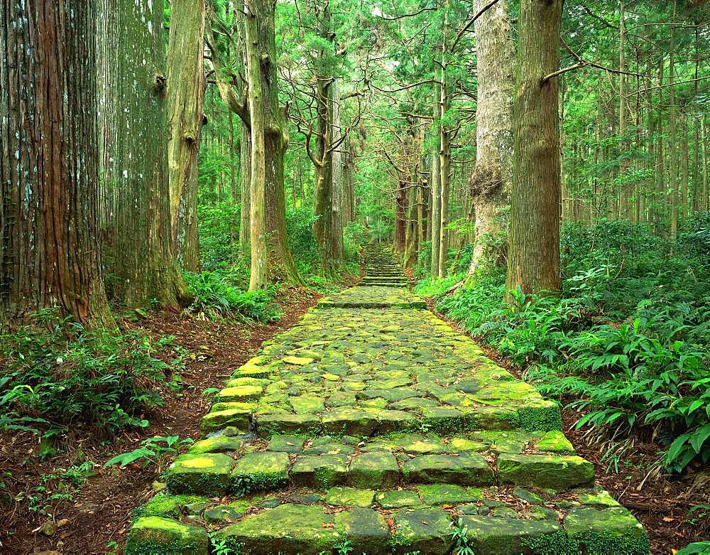 Old Road, Kumano, Mie Prefecture