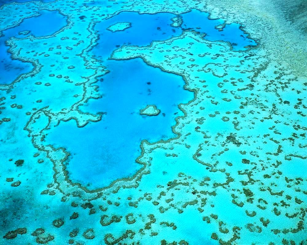 Great Barrier Reef, Australia