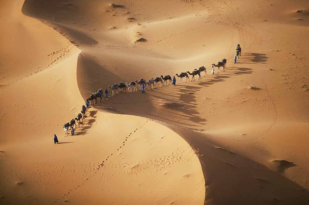 The setting sun over the desert makes a enchanting shadow as a caravan of camel merchants winds their way toward the next stop on their journey, Sahara Desert