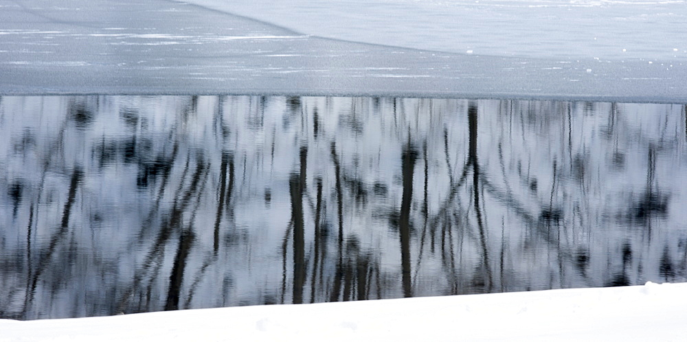 Trees reflect in the icy water of Lake Kawakguchi, Japan, Lake Kawakguchi, Japan