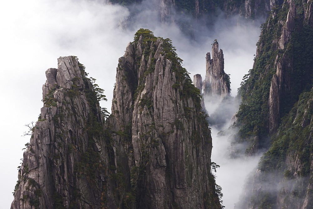 Huang Shan, which means Yellow Mountain. Anhui Provice in China. Jagged rock towers, Huang Shan, China