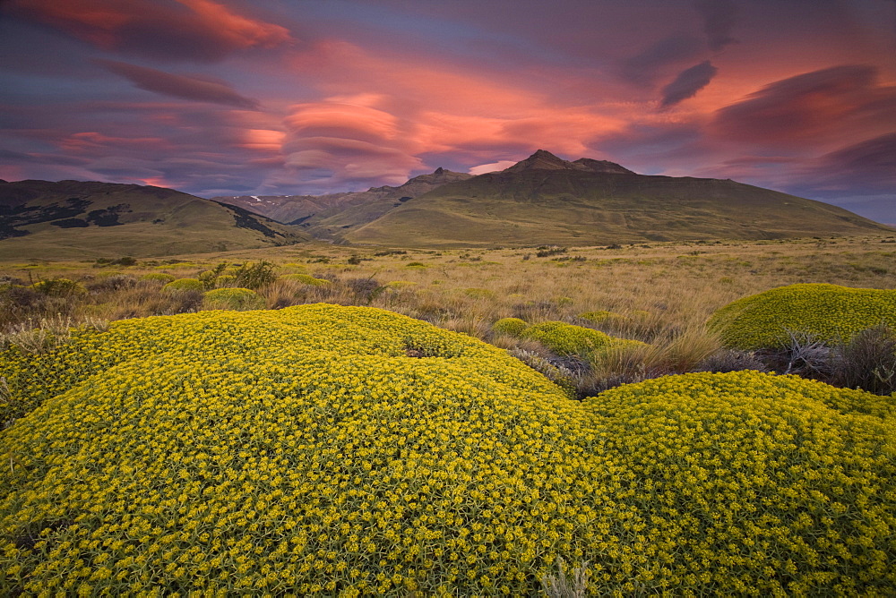 Lenticular clouds in the sky, over the Patagonian landscape. Altocumulus lenticularis,, Patagonia, Argentina, 