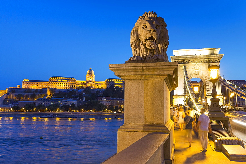 The Chain Bridge with the lion statue by dusk with a view of Buda Castle, Budapest, Hungary