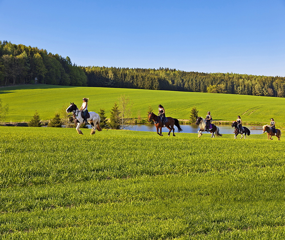 Women riding horse in western woods, Swabia, Augsburg, Bavaria, Germany