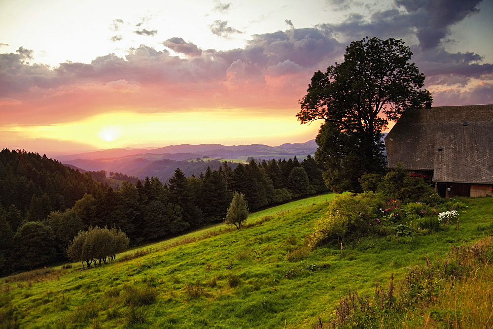 View of Rhine Valley at sunset, Black Forest, Baden-Wurttemberg, Germany