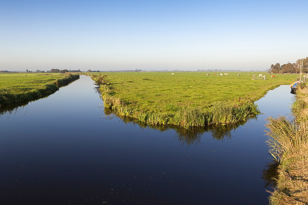 View of water and grassland in Ransdorp, Noord, Amsterdam, Netherlands