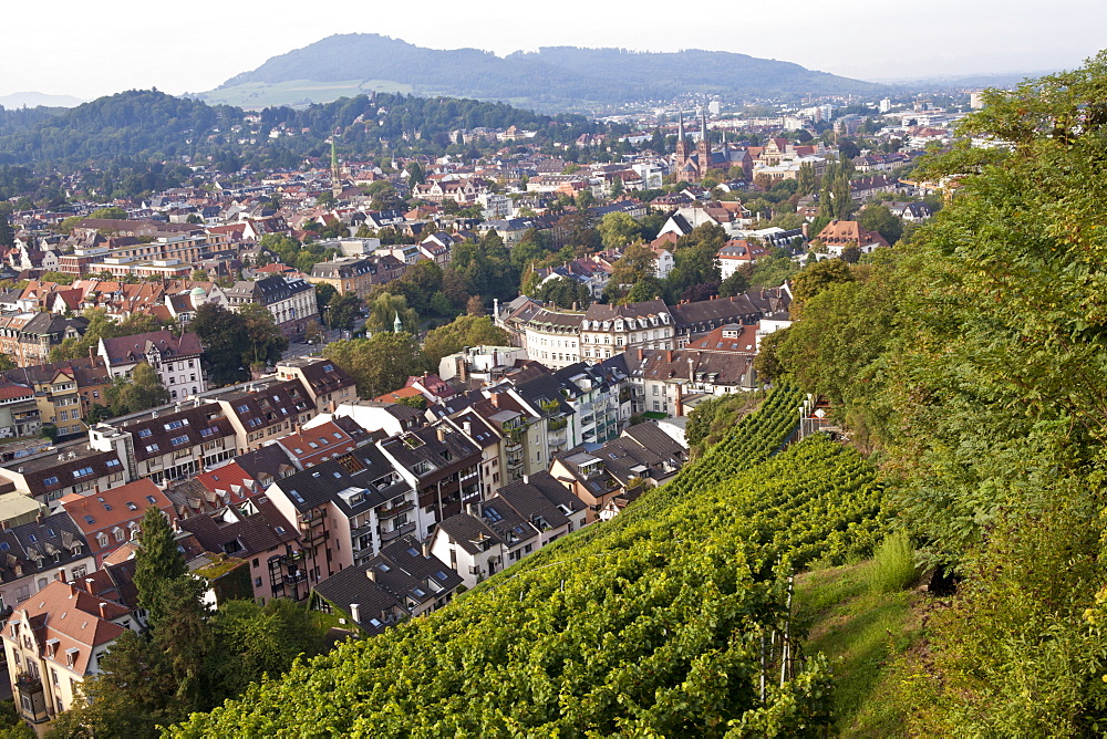 View of cityscape from Schlossberg, Freiburg, Germany