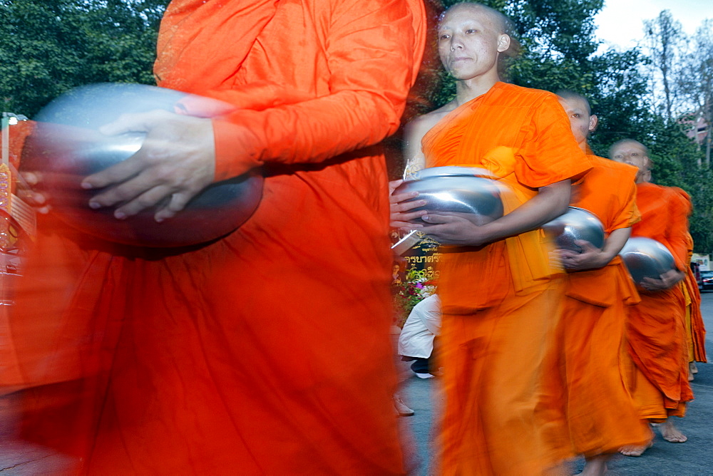 Monks begging alms at dawn on Doi Suthep mountain, Chiang Mai, Thailand, Southeast Asia, Asia