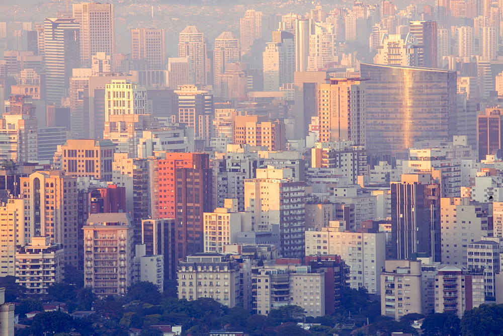 A view of the Sao Paulo skyline from Jardins, Sao Paulo, Brazil, South America