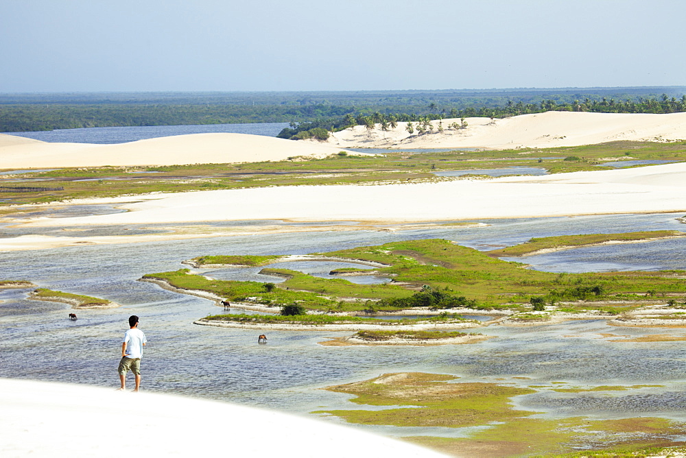 A man looking out from the Funil dune, Ceara, Brazil, South America