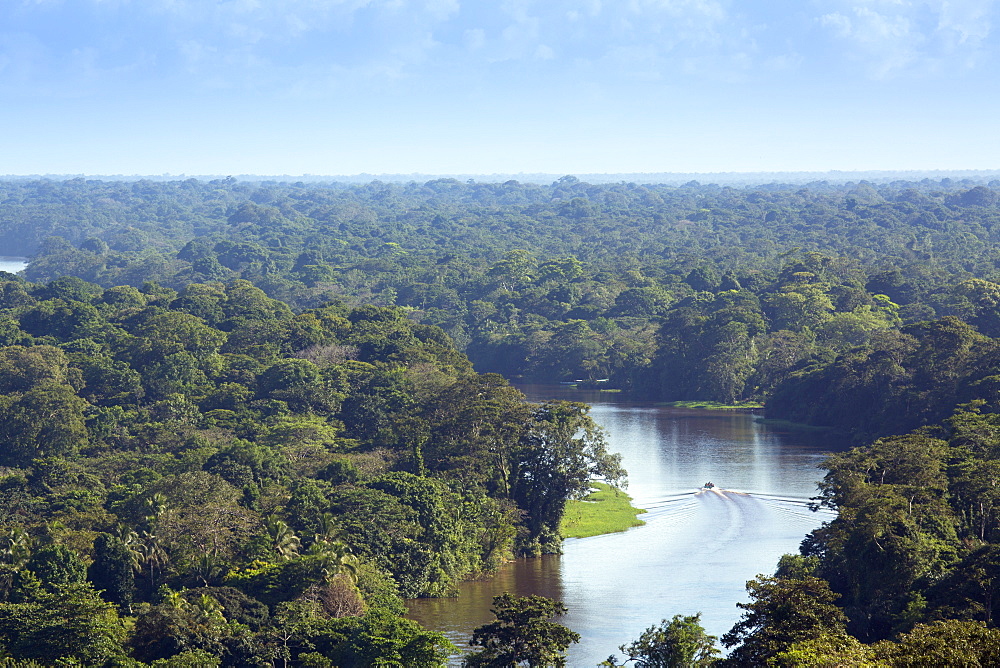 View of rainforest and rivers in Tortuguero National Park, Limon, Costa Rica, Central America