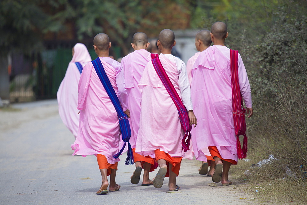 Buddhist nuns in traditional robes, Sagaing, Myanmar (Burma), Southeast Asia