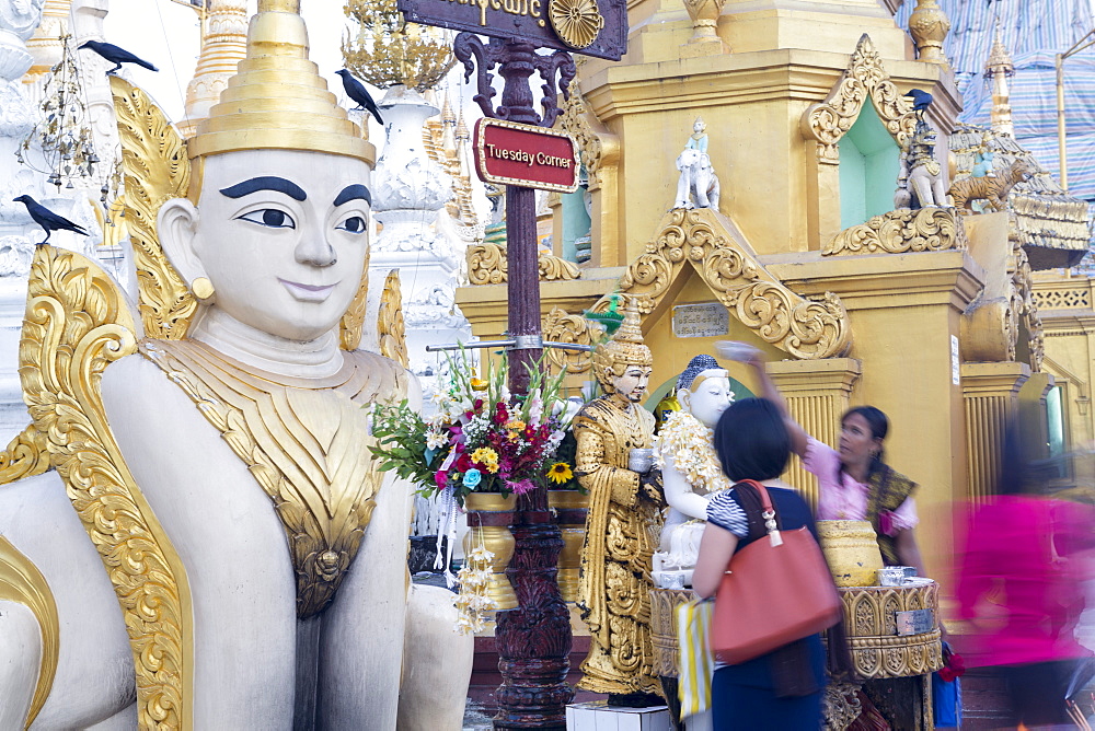 Devotees paying obeisance to the 'Tuesday' buddha at the Shwedagon pagoda complex in Yangon (Rangoon), Myanmar (Burma), Southeast Asia