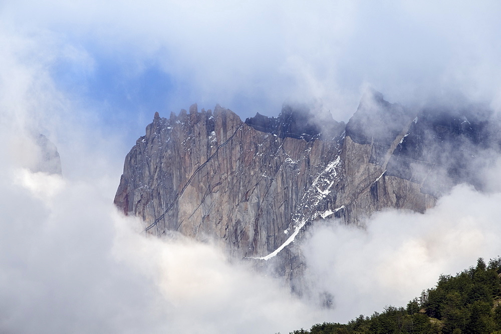 Forest and the rugged mountains in the Torres del Paine National Park, Patagonia, Chile, South America