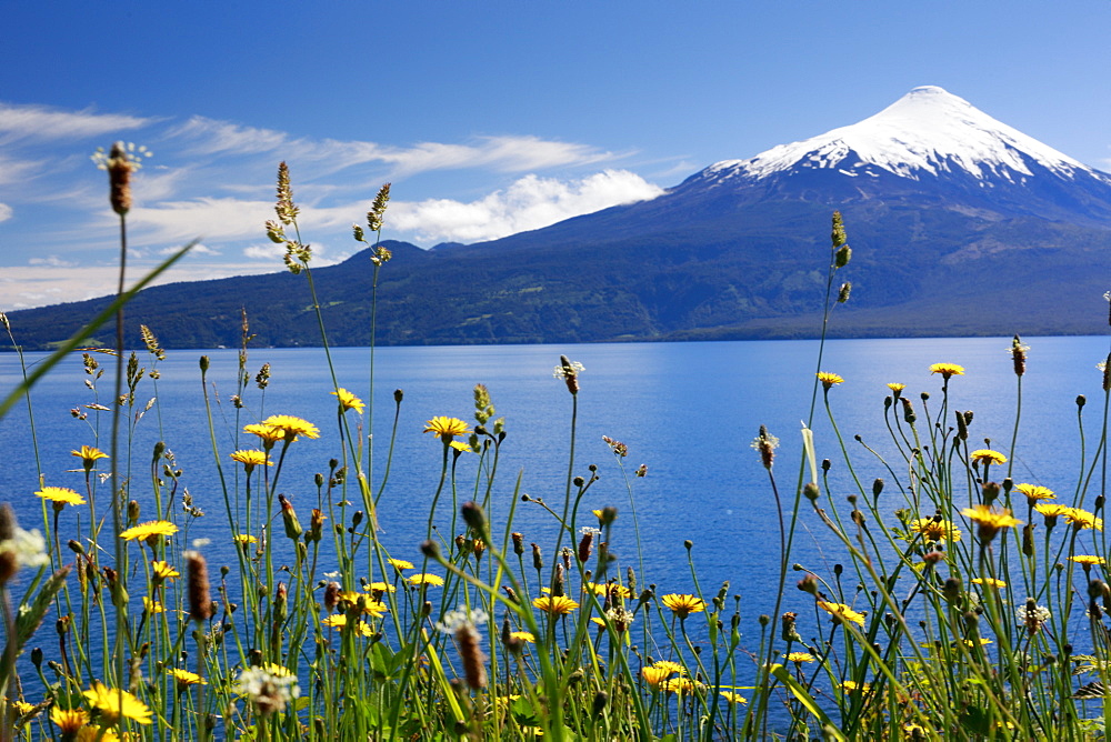 The 2652 metre tall Osorno Volcano, a conical stratovolcano, in northern Patagonia near Puerto Montt, Chile, South America